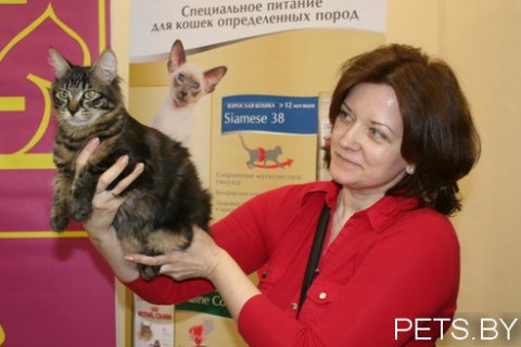 160 и 161 Международные выставки кошек в Санкт-Петербурге