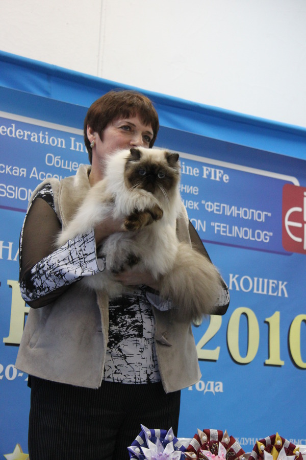 Международная выставка кошек под эгидой FIFe