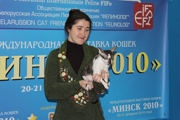 Международная выставка кошек под эгидой FIFe