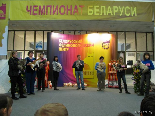 Чемпионат Беларуси 2010