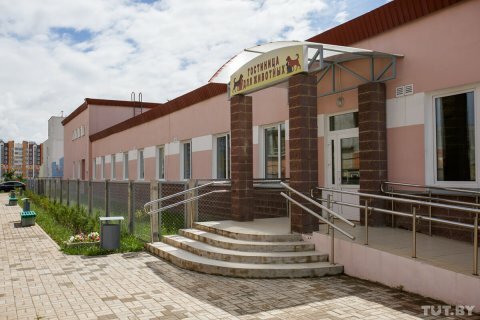 Как выглядит новая гостиница для животных в Минске